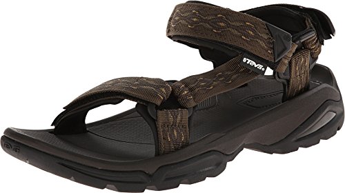 Teva Men's Terra FI 4 Sandal, Madang Olive Webbing, 9 M US