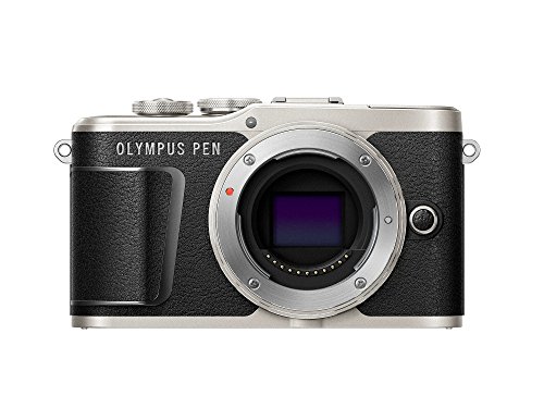 Olympus PEN E-PL9 Body Only with 3-Inch LCD (Onyx Black)