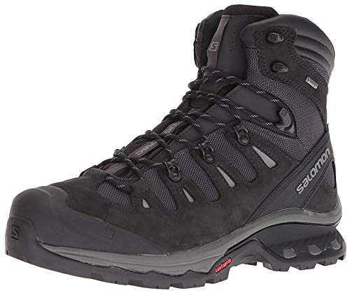 Salomon Quest 4D 3 Gore-TEX Backpacking Boots for Men, Phantom/Black/Quiet Shade, 14