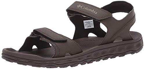 Columbia Men's BUXTON™ 2 STRAP Sandal, cordovan, pebble, 8 Regular US