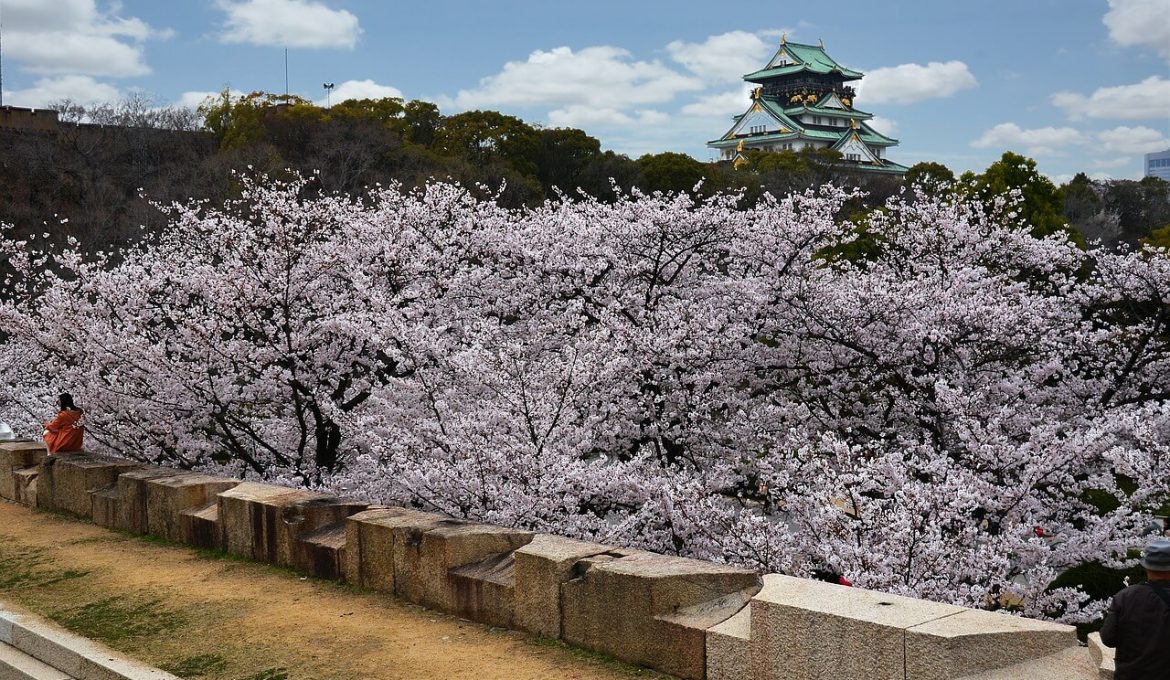 Nishinomaru Garden
