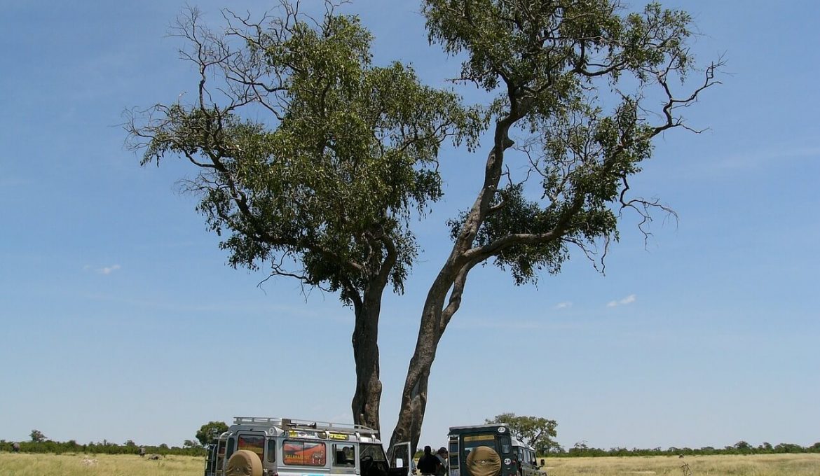 Okavango Delta