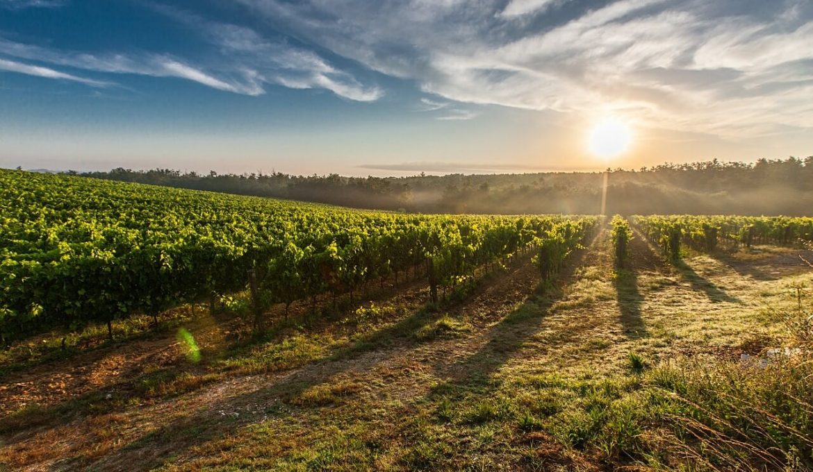 Tuscany 