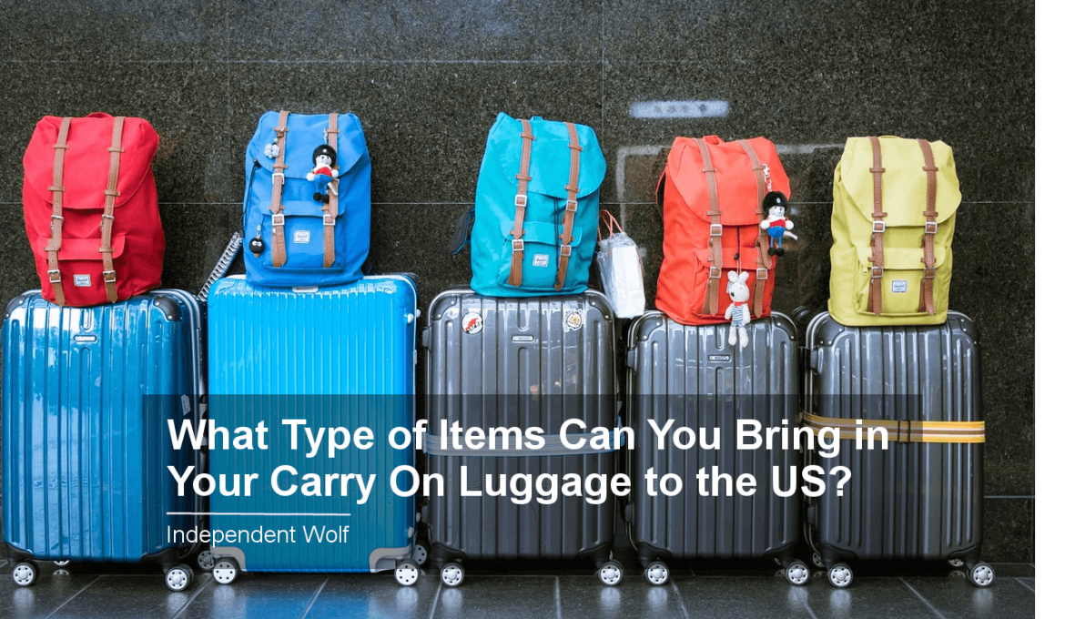 What Type of Items Can You Bring in Your Carry On Luggage to the US?