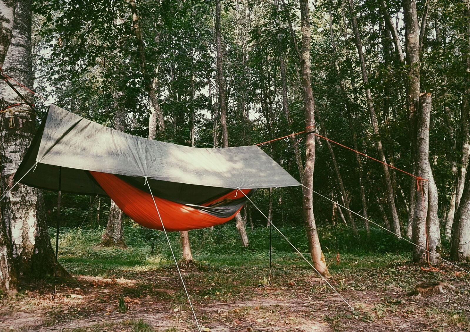 Find the Best Hammock Tent for You & TOP 12 Hammock Reviews 2020
