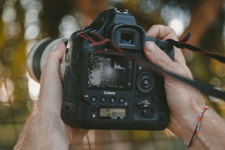 TOP 10 Best Cameras for Safari 2023 for Amazing Wildlife Photos